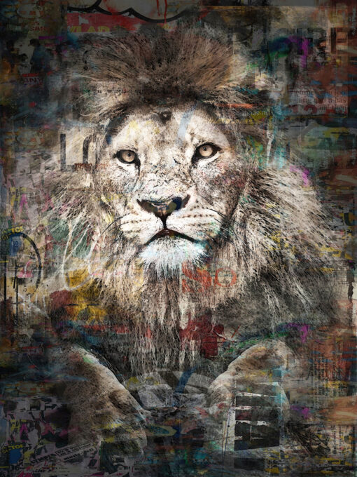 LION JUNGLE